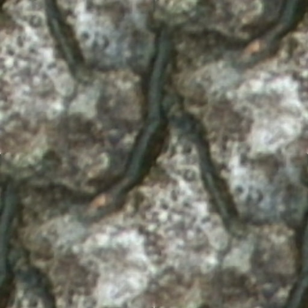  https://p.turbosquid.com/preview.turbosquid.com/Preview/2014/08/01__20_40_40/seamless rock(118).jpg2afc1cdc-480c-4f34-b5ba-e6edf7bcc66cLarger/jpg/1289356491/1920x1080/fit_q87/ec3282651840666d923a5080c9f589273947ea90/seamless rock(118).jpg2afc1cdc-480c-4f34-b5ba-e6edf7bcc66cLarger.jpg